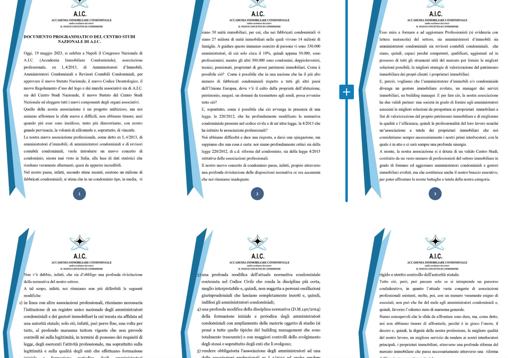 Documento programmatico nazionale AIC e alcune considerazioni sull’albo professionale per gli amministratori